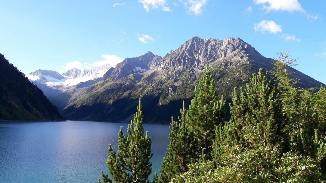 Fewo "Unterm Wald" Stumm Exteriör bild